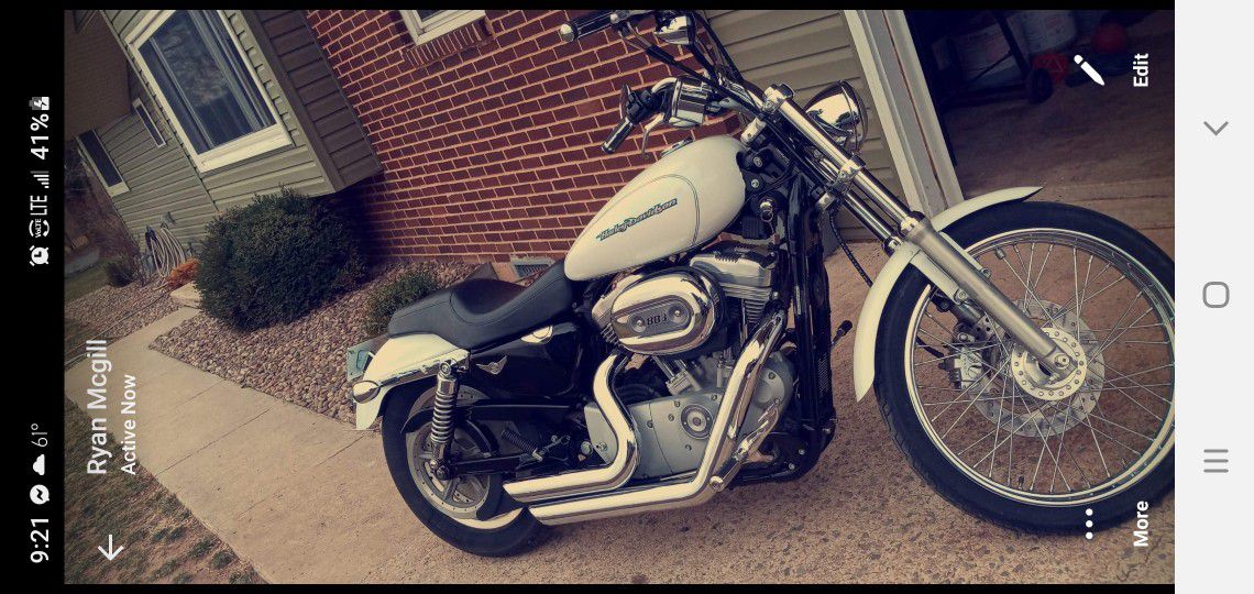 Photo 06 Harley Davidson Sportster 883 Custom