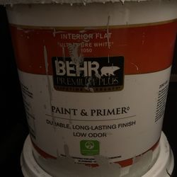 Grey Paint/Primer