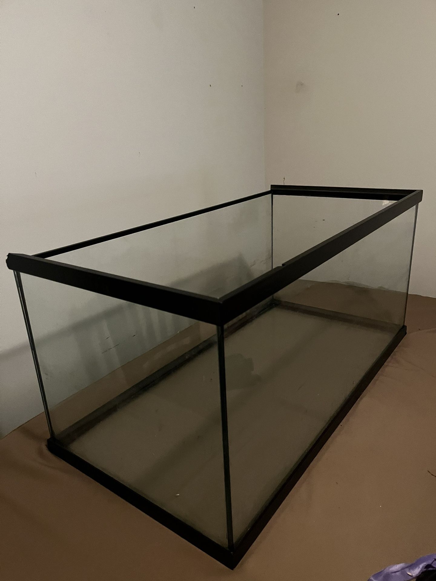 Huge Fish Tank