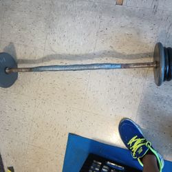 Curl bar/40lbs of weights 