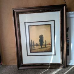 Professional Portrait 