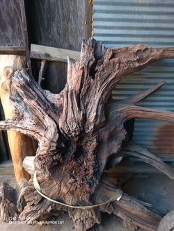 Black Walnut. Walnut Old Walnut Slabs