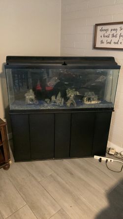 FREE  -  45 gal Fish Aquarium