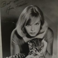 Rare Anne Francis Signed Picture 