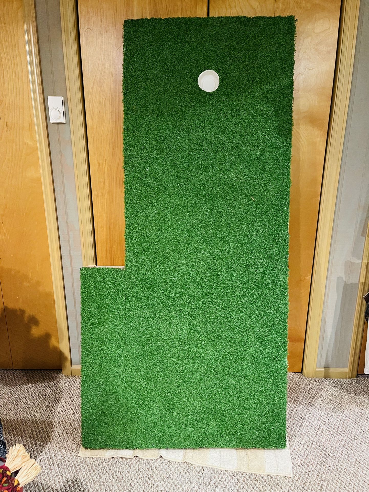 Indoor Putting Green