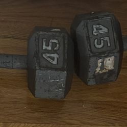 45 Pound Dumbbells 