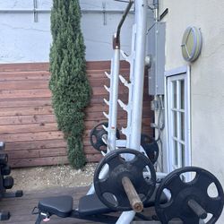 Hoist Rack With Barbell, Inspire Bench & Weights 