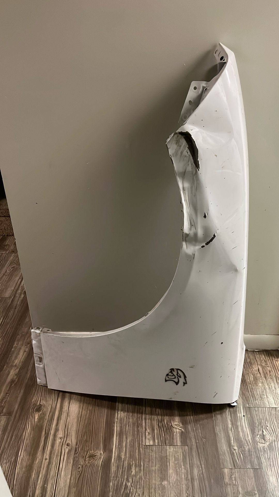 Dodge Charger Driver Side Fendor 