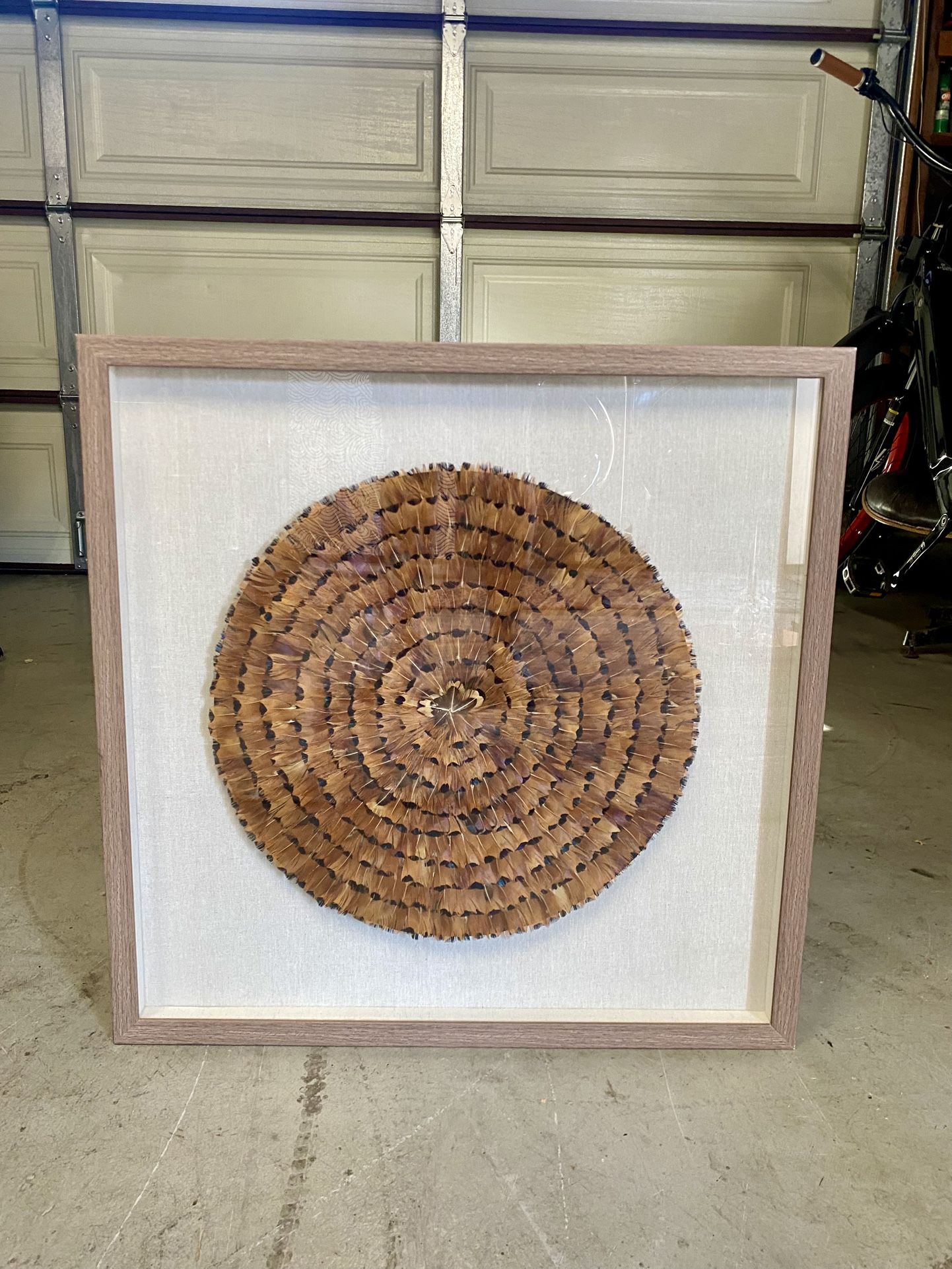 Large Framed Feather Wall Art (Beautiful!))