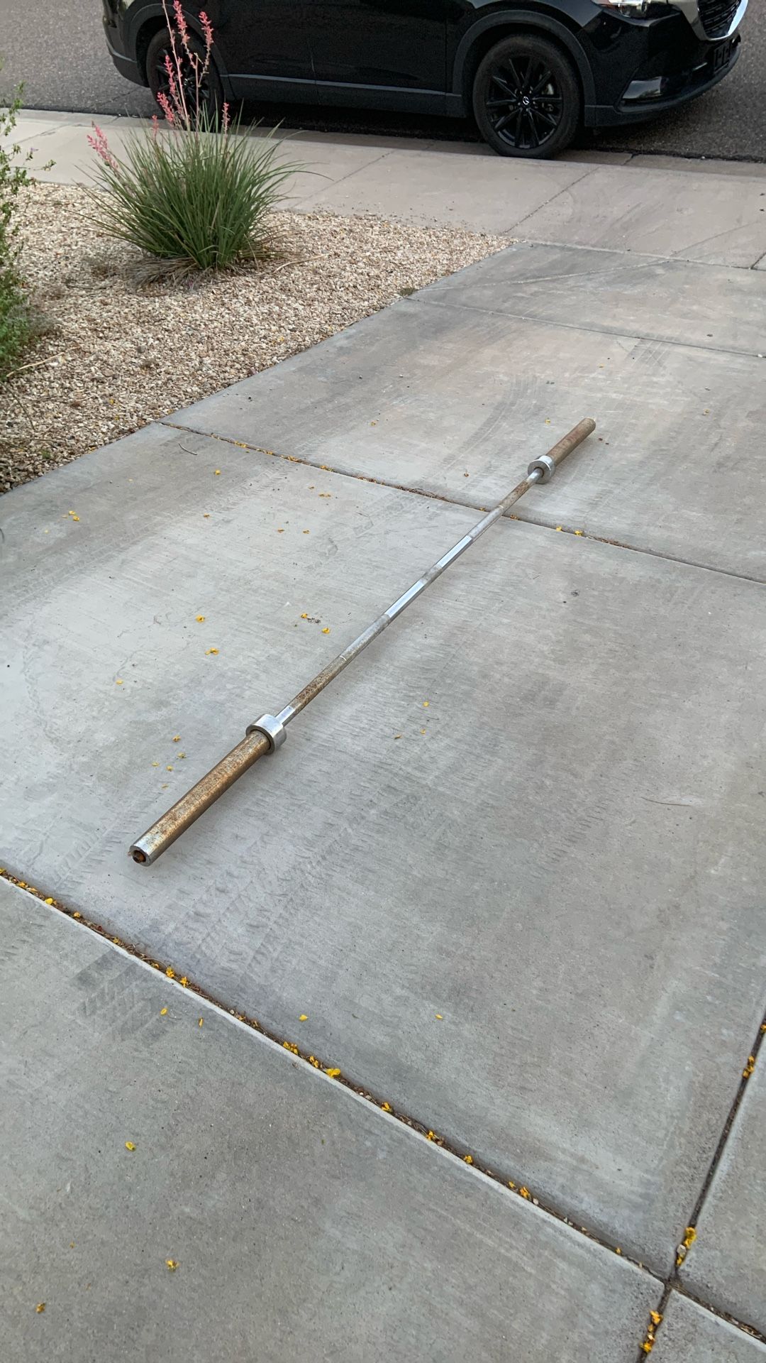 Barbell