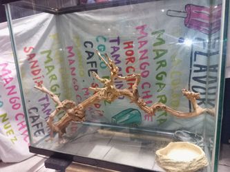 Large Aquarium /Terrarium.1/2" Glass