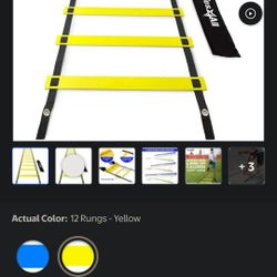 12 rung 18ft Agility Training Ladder-