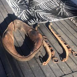 Vintage Horse Equipment 
