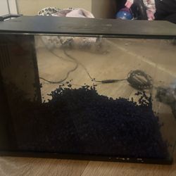 Betta Fish Tank