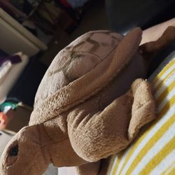 Plush Turtle