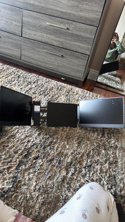 Dual Monitor Setup with Mount