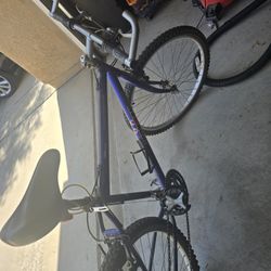 Huffy 21 Speed Titanium Boron Steel Ironman Bicycle Sherwood for Sale in Beaumont CA OfferUp