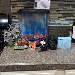 2.5 Gallon Top Feeder Fish Tank With Accessories 