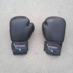Boxing Gloves 