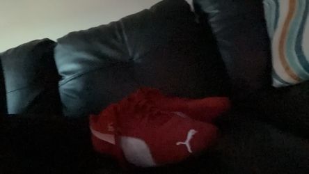 Red speedcats