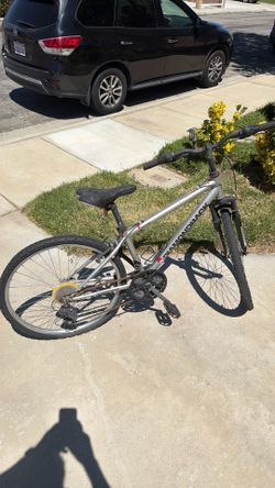 Diamondback