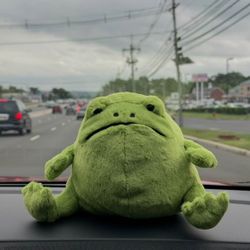 Rick the rain frog jellycat NWT