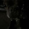 Issac 
