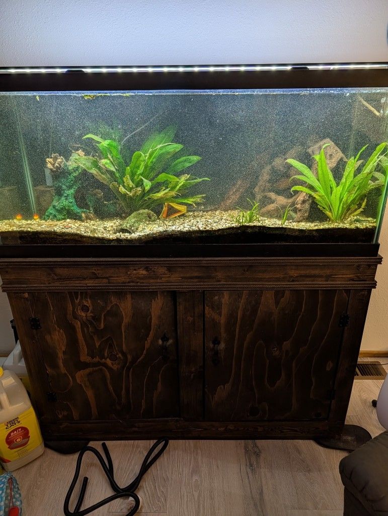 75 Gallon Fishtank 