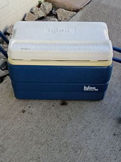 $13