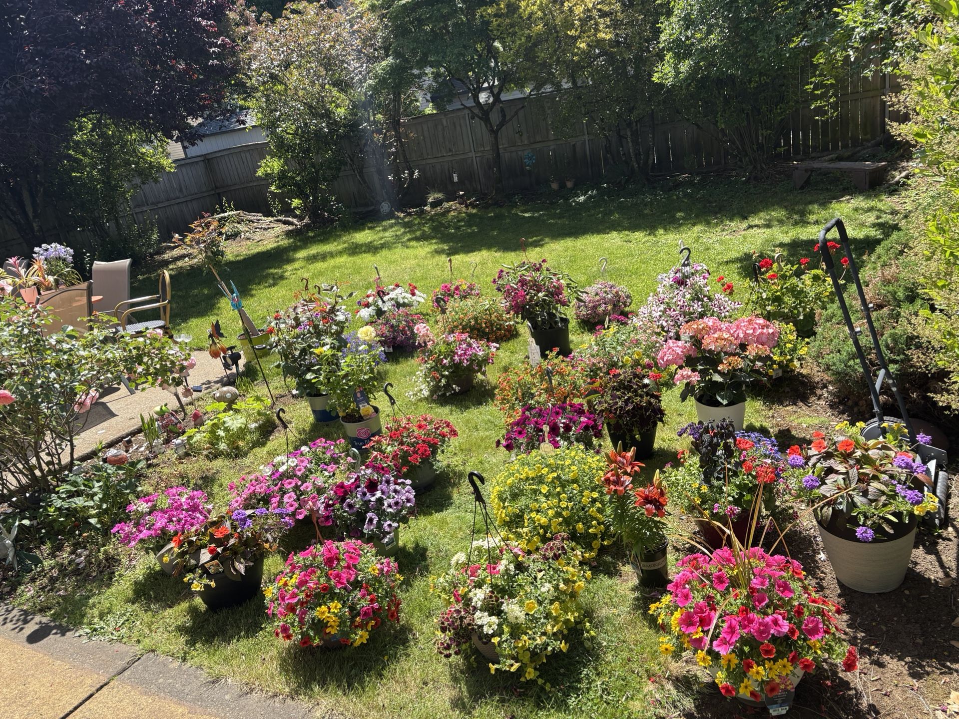 Flowers For Sale Quality & Many Hanging Baskets Barrel Planters+soil