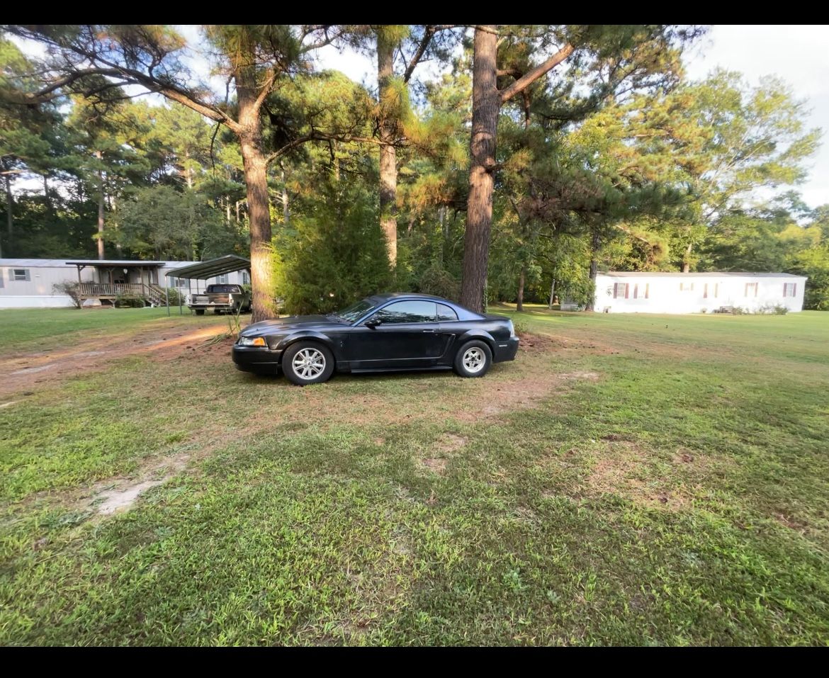1999 Ford Mustang