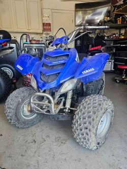 Yamaha raptor 2008 50cc