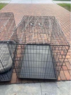 2 Large Dog Crate
