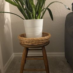 Small But Mighty – Vintage Wooden Stool With Big Personality