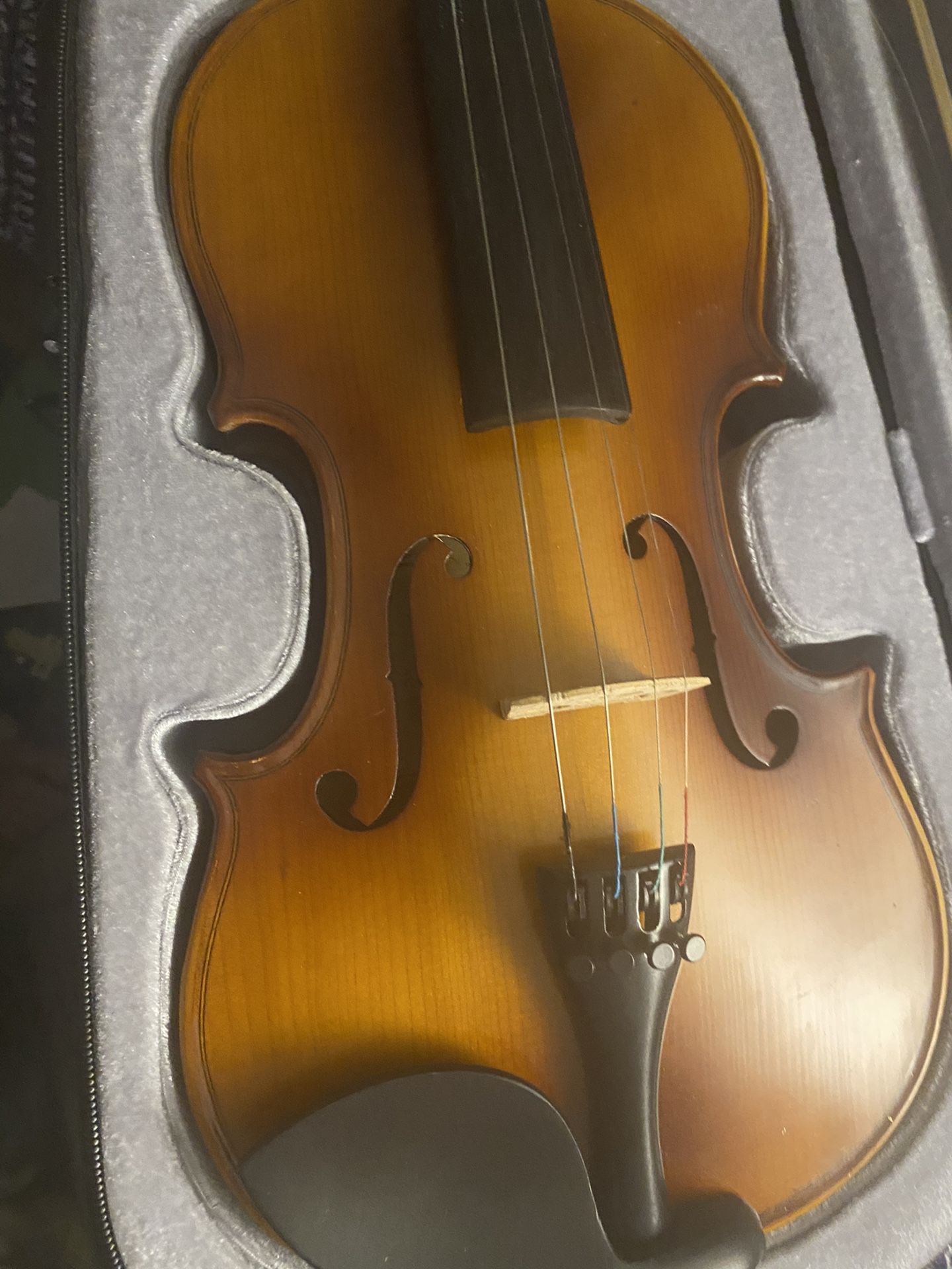 Cecilio Learners Violin