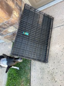 Dog crate