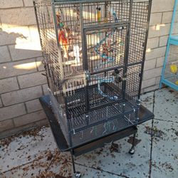 Large Bird Cage