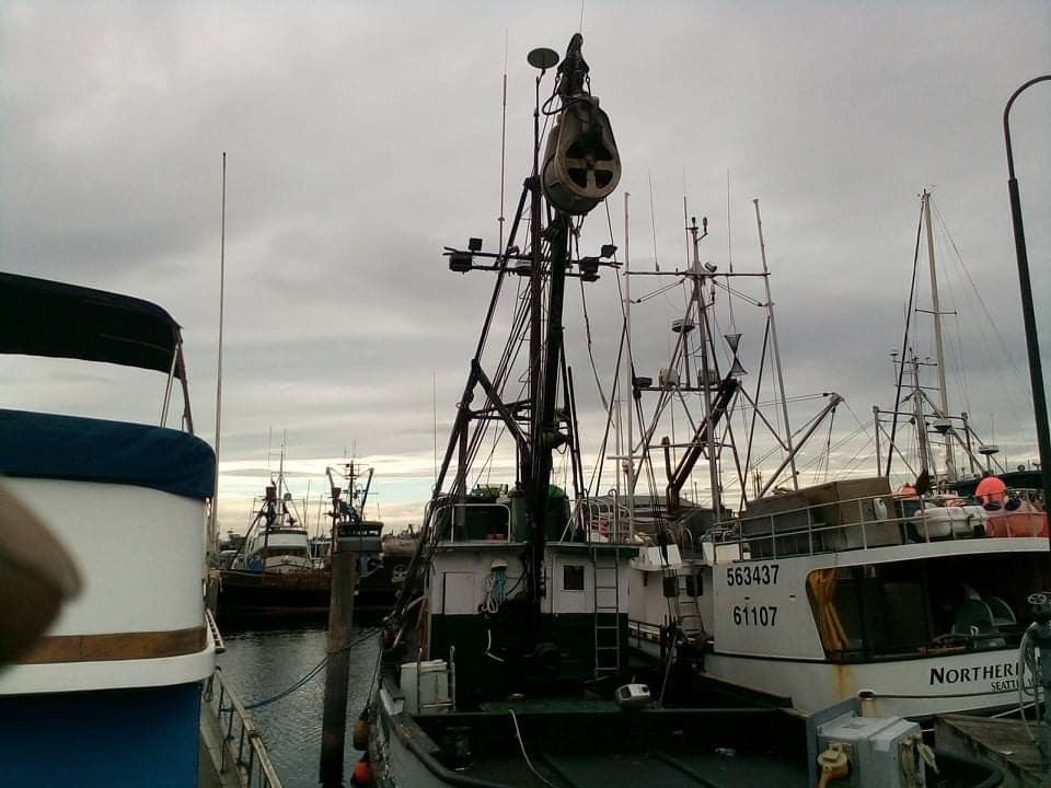 Ships Ahoy!