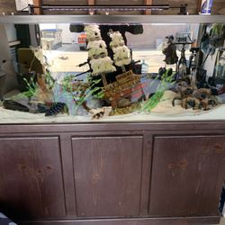 90 Gallon Fish Tank