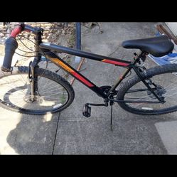 29” Mountain Bike 