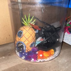 Fish Tank With Filter And Toys