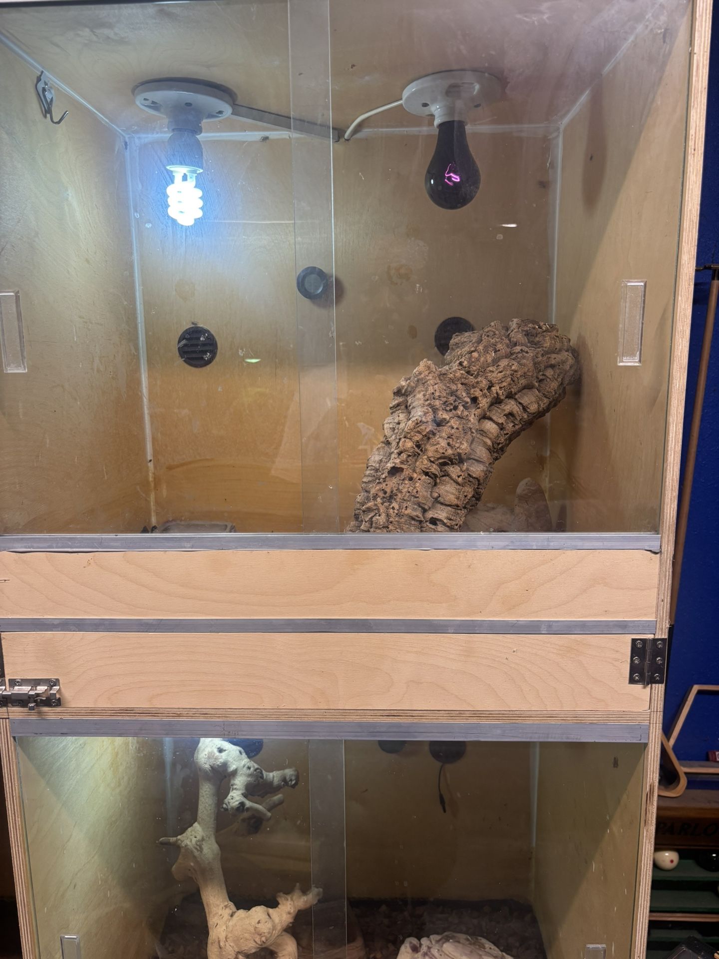Reptile Enclosure