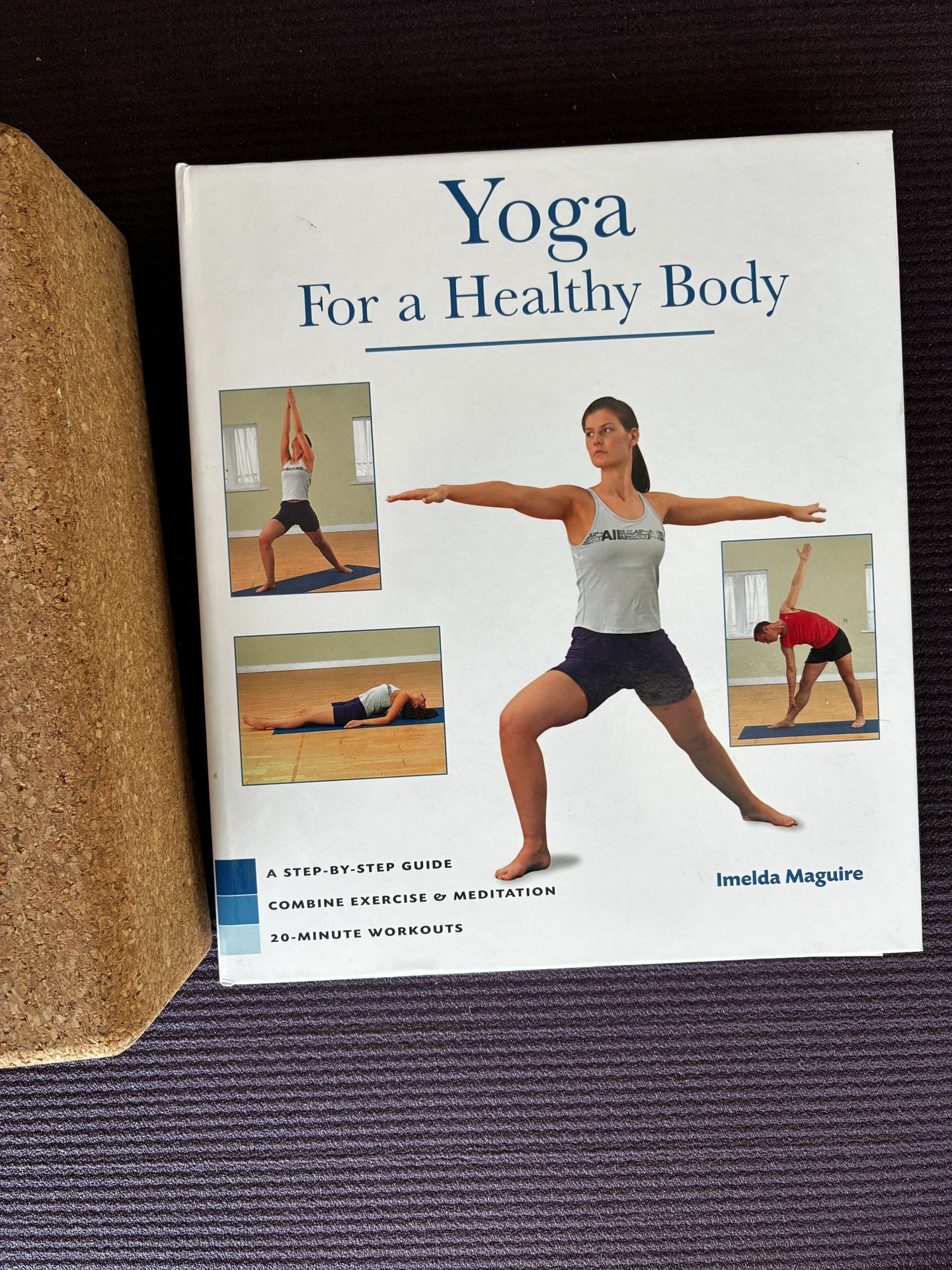 Yoga For A Healthy Body Book