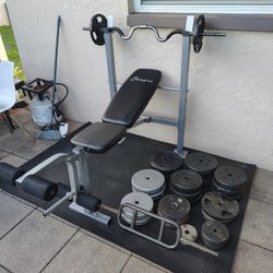 Only Weights Available 1xlb