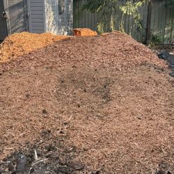 Free Wood Chips 