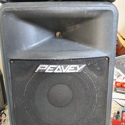 Peavey Impulse 200 Stage Speaker First Come First