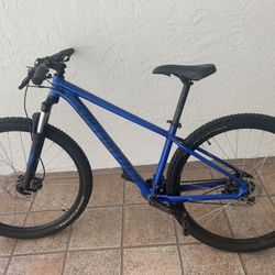 Specialized Blue bike