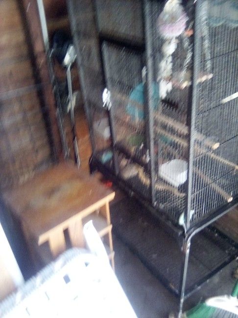 Bird Cage, Needs A Little Love