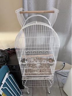 Bird Cage