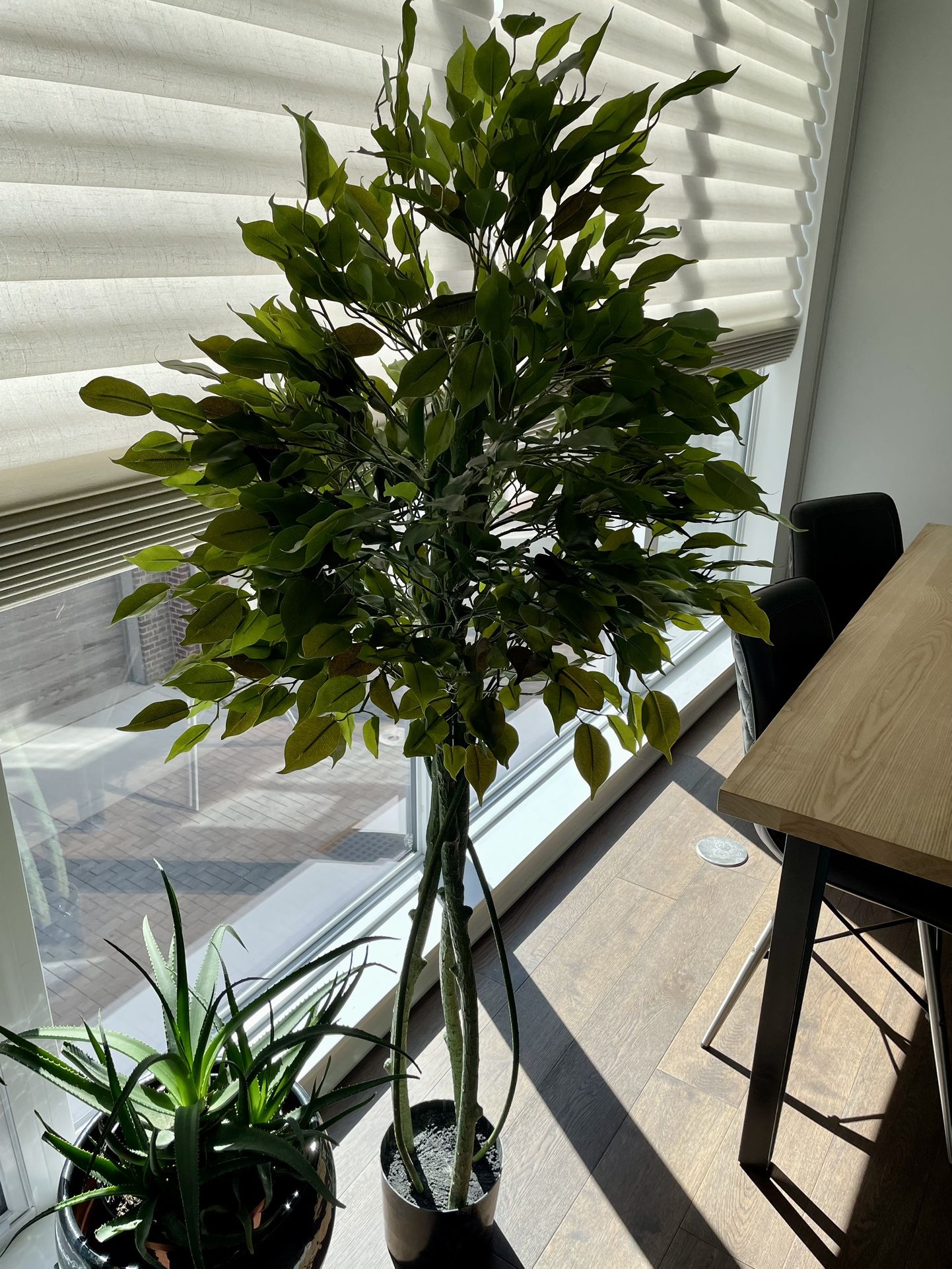 Faux Ficus Tree, Indoor/Outdoor UV Protected